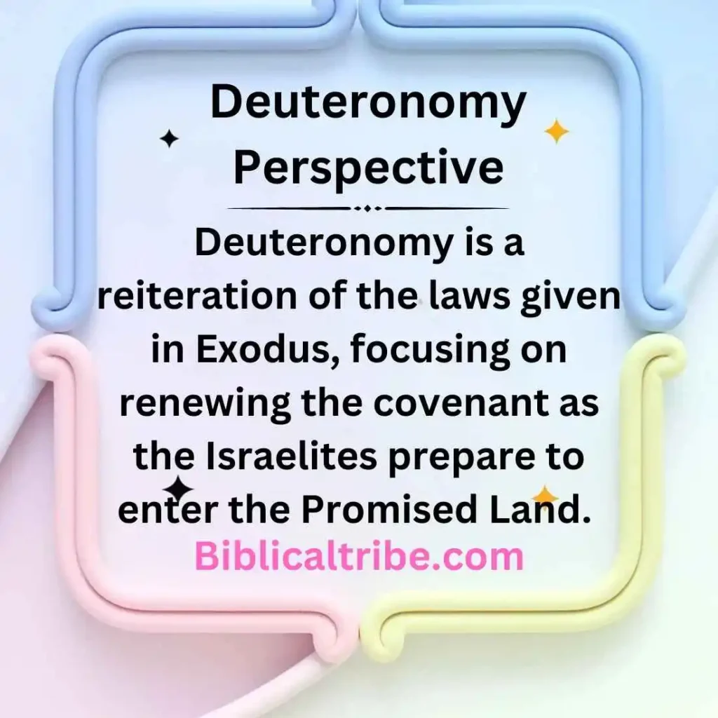 Deuteronomy Perspective