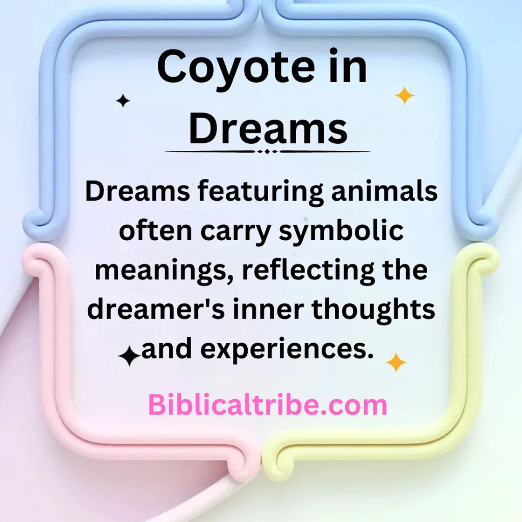 Coyote in Dreams