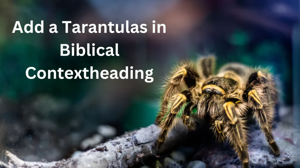 Tarantulas in Biblical Context