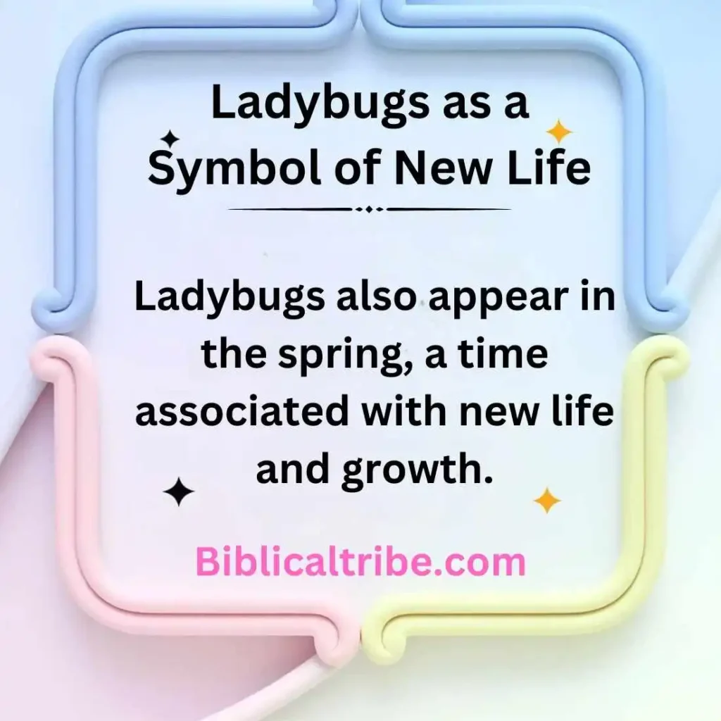 Ladybugs as a Symbol of New Life