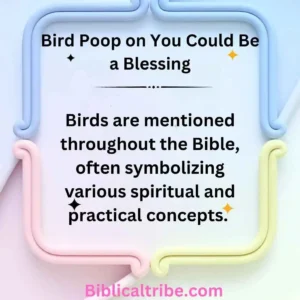 Bird Poop on You Could Be a Blessing