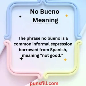 No Bueno Meaning