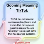 Gooning Meaning TikTok