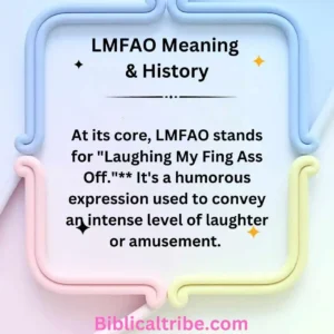 LMFAO Meaning & History